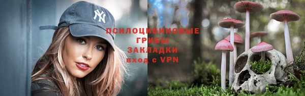 прущие грибы Балахна