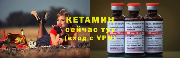 прущие грибы Балахна