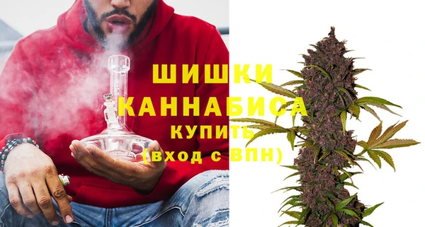прущие грибы Балахна