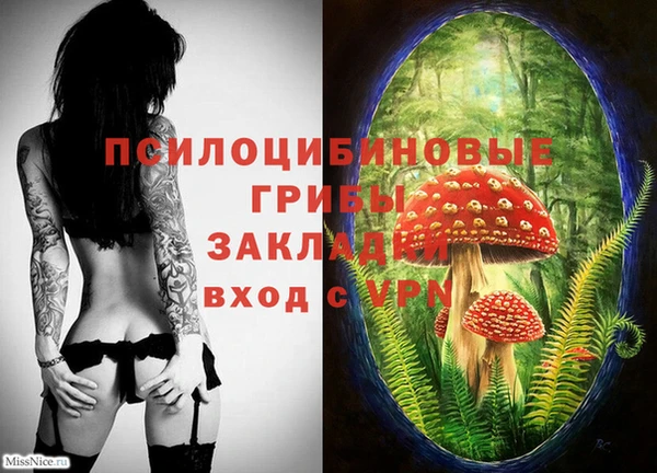 гидропоника Баксан