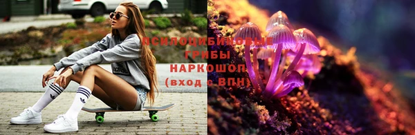 прущие грибы Балахна