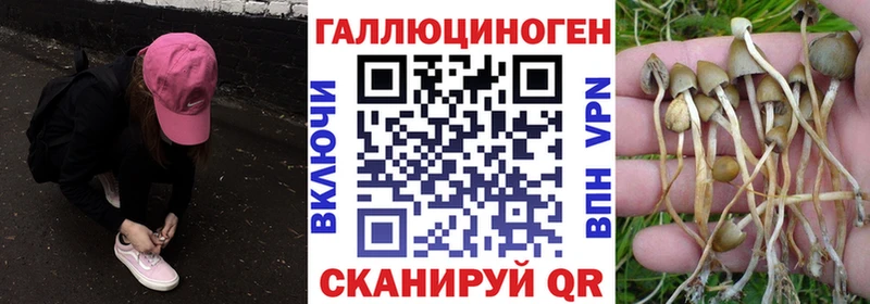 Галлюциногенные грибы MAGIC MUSHROOMS Феодосия